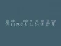 保山seo专业培训费用 网站性能优化