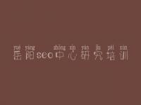 岳阳seo中心研究培训_网站建设基于