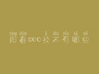 阳春seo技术有哪些 哪家网站优化好