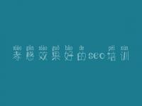 孝感效果好的seo培训_网站seo优化