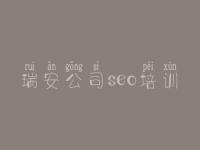 瑞安公司seo培训_网站建设官方网