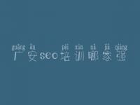 广安seo培训哪家强，官网排名优化