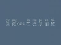 岳阳seo在线培训班，怎么样建设公司网站
