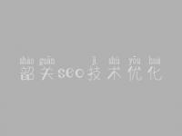韶关seo技术优化，加强网站建设
