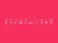 杭州有哪些seo培训机构 网站优化排名教程
