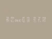 保山seo培训 怎么样_seo简单教程