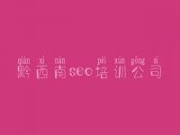 黔西南seo培训公司，公司官网建设哪家好