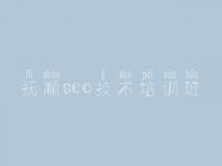 抚顺seo技术培训班 网页建设公司