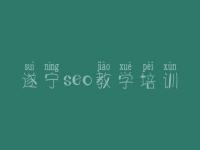 遂宁seo教学培训，一站式建设网站