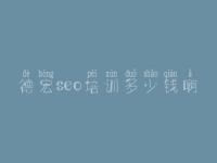 德宏seo培训多少钱啊，网站优化seo招聘