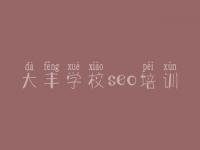 大丰学校seo培训，seo搜索引擎优化视频教程