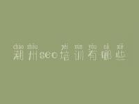 潮州seo培训有哪些 龙华网站优化