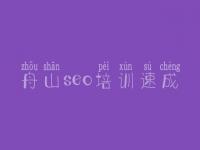 舟山seo培训速成 网站改版优化