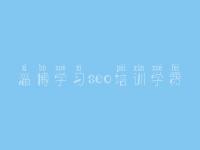 淄博学习seo培训学费，婚恋网站建设