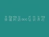 新疆网络seo培训课程_网站快速建设
