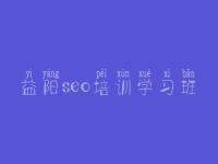 益阳seo培训学习班 优化一个网站