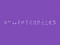 朔州seo白帽视频教程哪儿较好