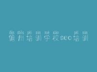 儋州培训学校seo培训，青浦网站建设