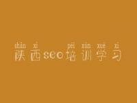 陕西seo培训学习，优化公司哪家好