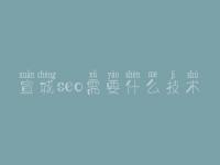 宣城seo需要什么技术_网站建设详细教程