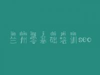 兰州零基础培训seo 建设大型网站