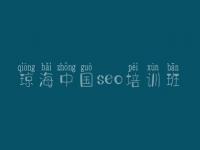 琼海中国seo培训班 公司网站搜索引擎优化