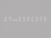南宁seo培训班培训学费_网站体验优化