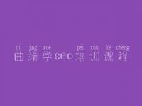 曲靖学seo培训课程_seo排名优化教程