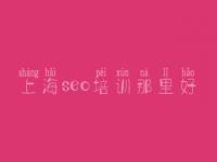 上海seo培训那里好_seo教程我要自学网