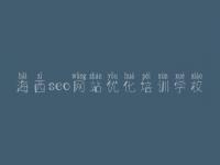 海西seo网站优化培训学校_福建网站优化