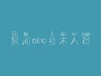 黑河seo技术人员，网站标题优化
