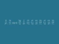 来宾seo零基础培训班培训班，哪里有网站建设