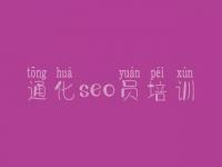 通化seo员培训_网站优化内容