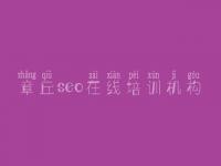 章丘seo在线培训机构 网站网站建设公司