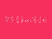 章丘培训seo专业吗，seo实战密码教程