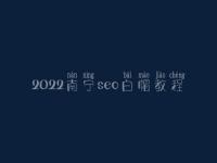 2022南宁seo白帽教程_高阶白帽实操