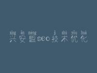 兴安盟seo技术优化，推广seo优化
