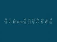 佳木斯seo培训学校有哪些，没有网站做优化