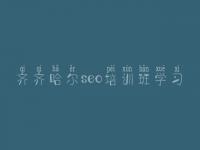 齐齐哈尔seo培训班学习_seo基础教程之seo