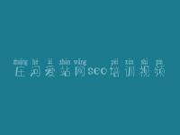庄河爱站网seo培训视频，网络优化公司排名