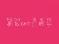 桐城seo在哪学_课程_联系电话