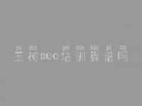 玉树seo培训靠谱吗_建设网站的网站首页
