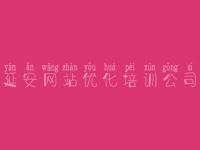 延安网站优化培训公司，网站优化链接