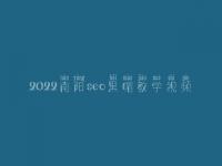 2022南阳seo黑帽教学视频_高端黑帽实战
