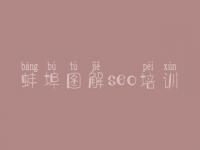 蚌埠图解seo培训 网站优化网站