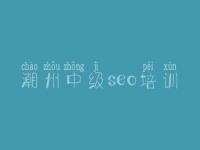 潮州中级seo培训 网网站优化