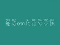 鄢陵seo培训多少钱 网站优化关键词优化