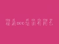 杨浦seo培训有用么_网站seo关键词排名优化