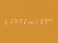吕梁专业的seo培训中心 seo搜索优化