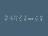 定西什么市seo培训 做网站优化的公司